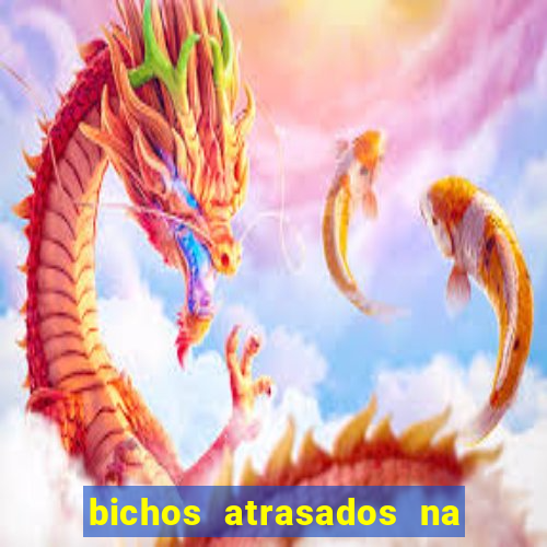 bichos atrasados na loteria federal